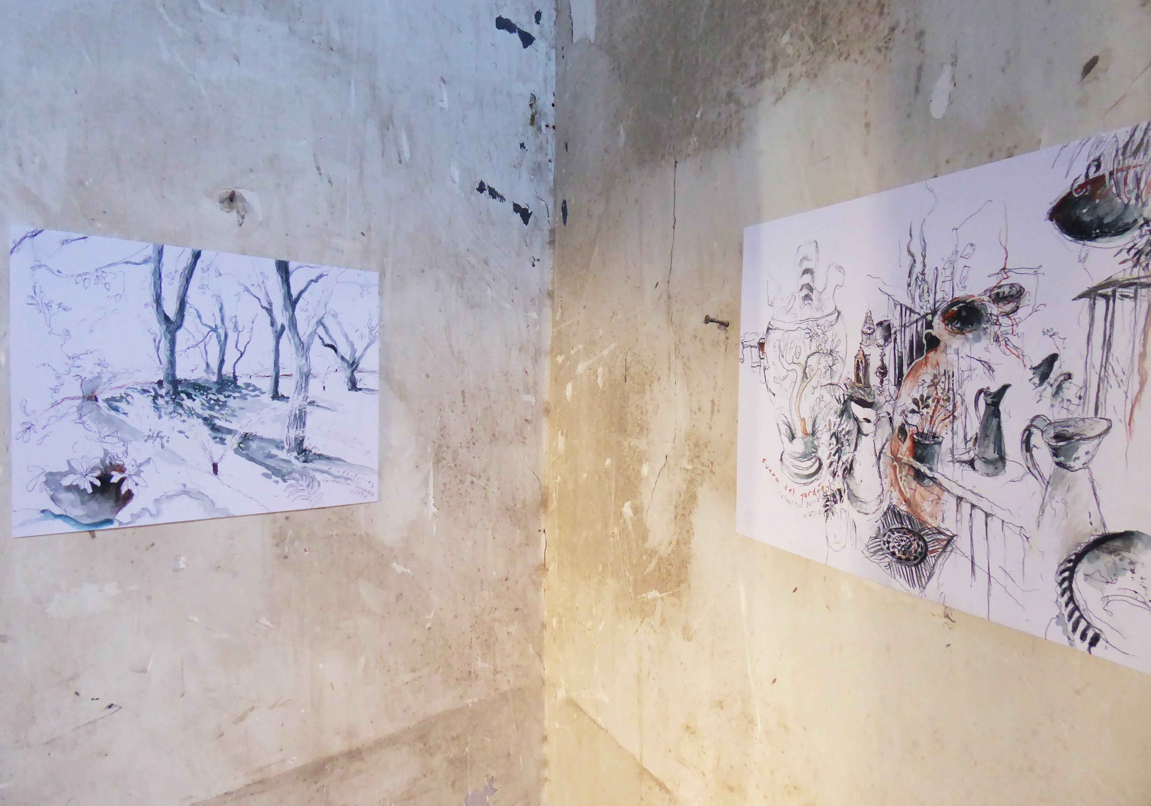 trajectories &amp; garden